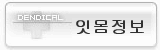 치아의 구성